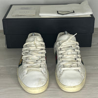 Gucci Sneakers, Ace 'Tiger' (42)