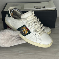 Gucci Sneakers, Ace 'Tiger' (42)