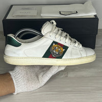 Gucci Sneakers, Ace 'Tiger' (42)