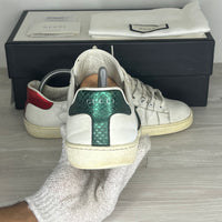 Gucci Sneakers, Ace 'Tiger' (42)