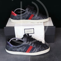 Gucci Ace 'Canvas Supreme' (43.5) 🥳