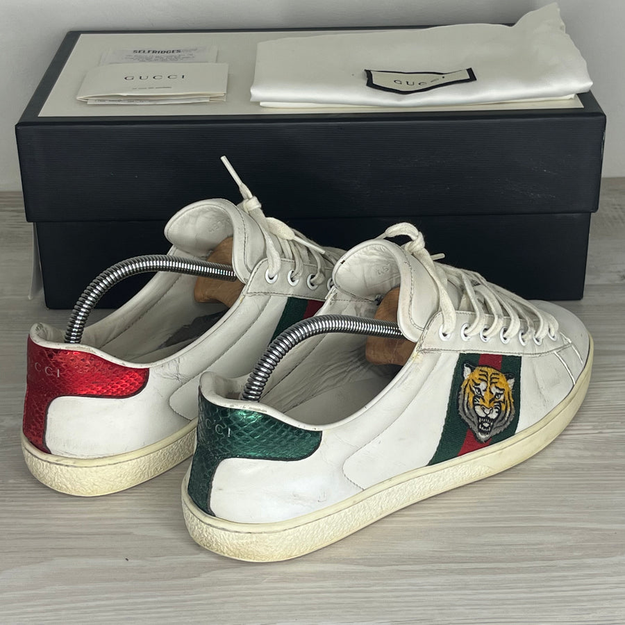 Gucci Sneakers, Ace 'Tiger' (42)
