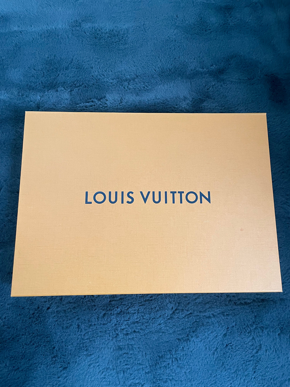 Louis Vuitton x NIGO Pochette Jour Clutch Bag, Damier Ebene Giant GM Brown