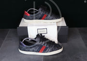 Gucci Ace 'Canvas Supreme' (43.5) 🥳
