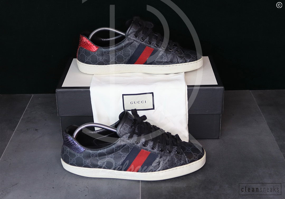Gucci Ace 'Canvas Supreme' (43.5) 🥳