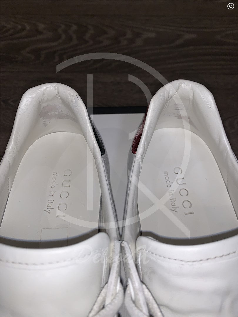Gucci Ace ’Snakes’ (40.5) 🥵
