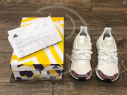 Adidas Ultra Boost 1.0 'Mulitcolor' (44 2/3) 🕊