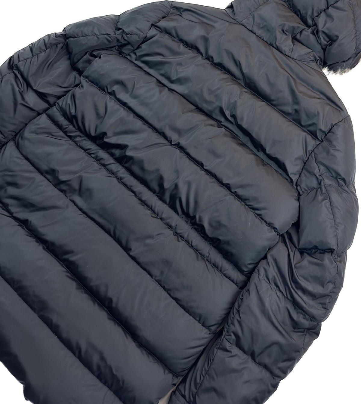 Moncler Senega
