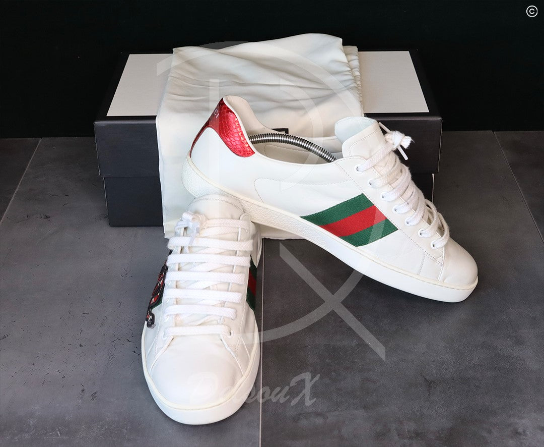 Gucci Ace 'Snakes' (45.5) 🎅🏽