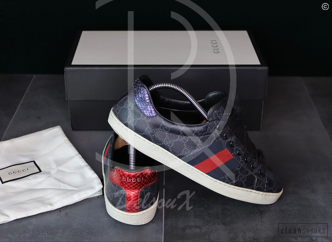 Gucci Ace 'Canvas Supreme' (43.5) 🥳