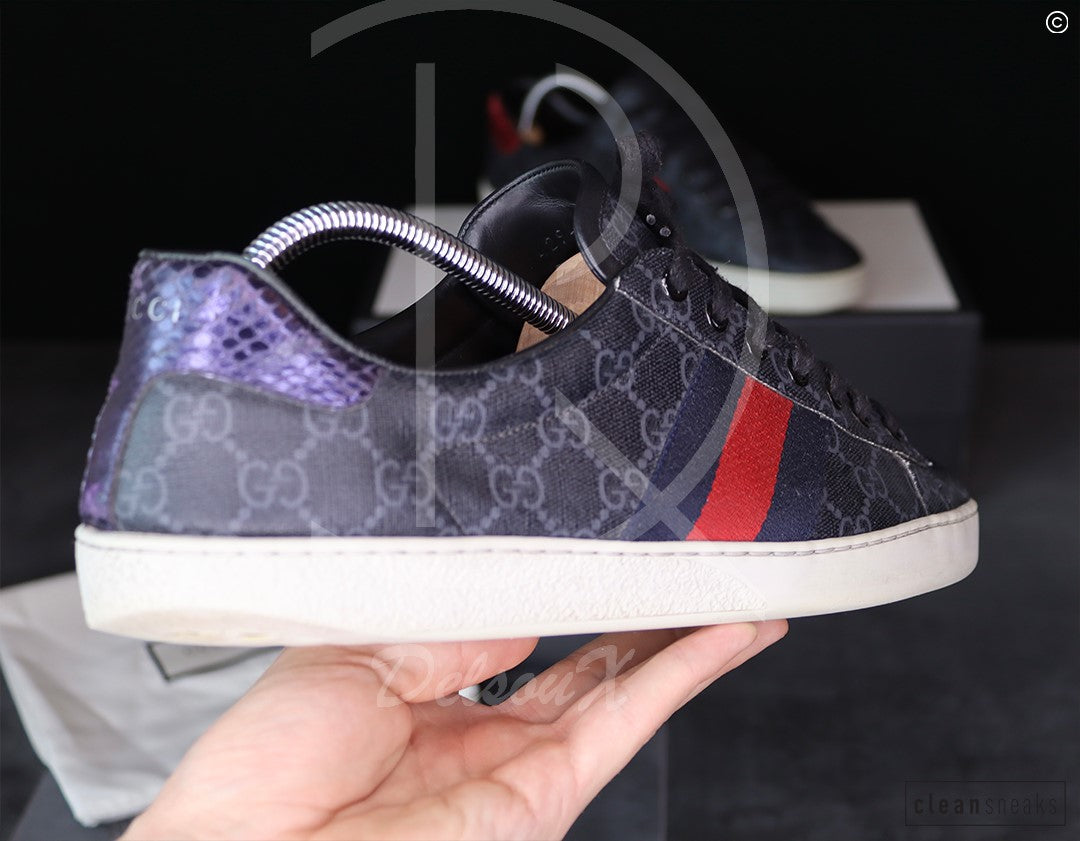Gucci Ace 'Canvas Supreme' (43.5) 🥳