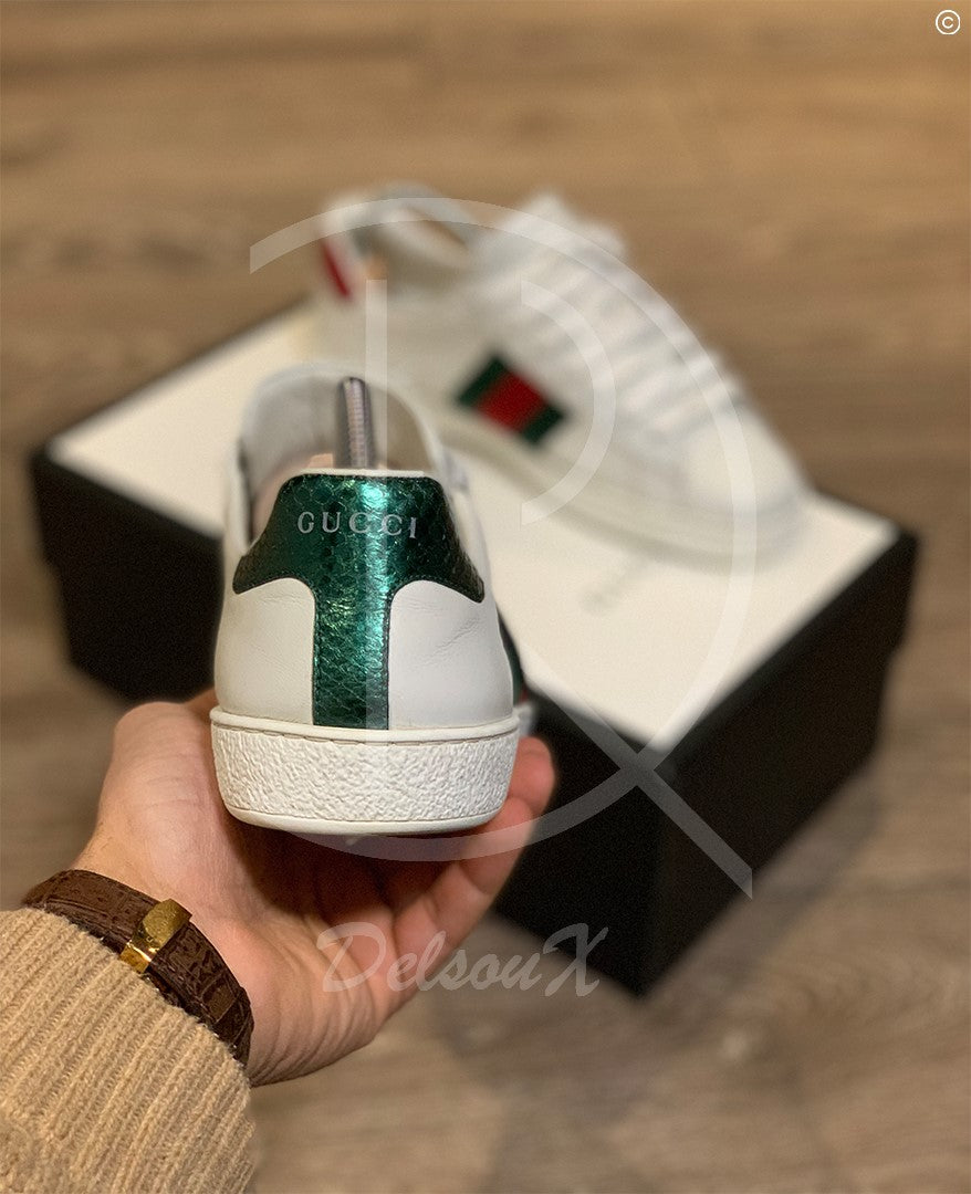 Gucci Ace ’Snakes’ (40.5) 🥵