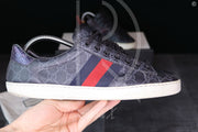 Gucci Ace 'Canvas Supreme' (43.5) 🥳