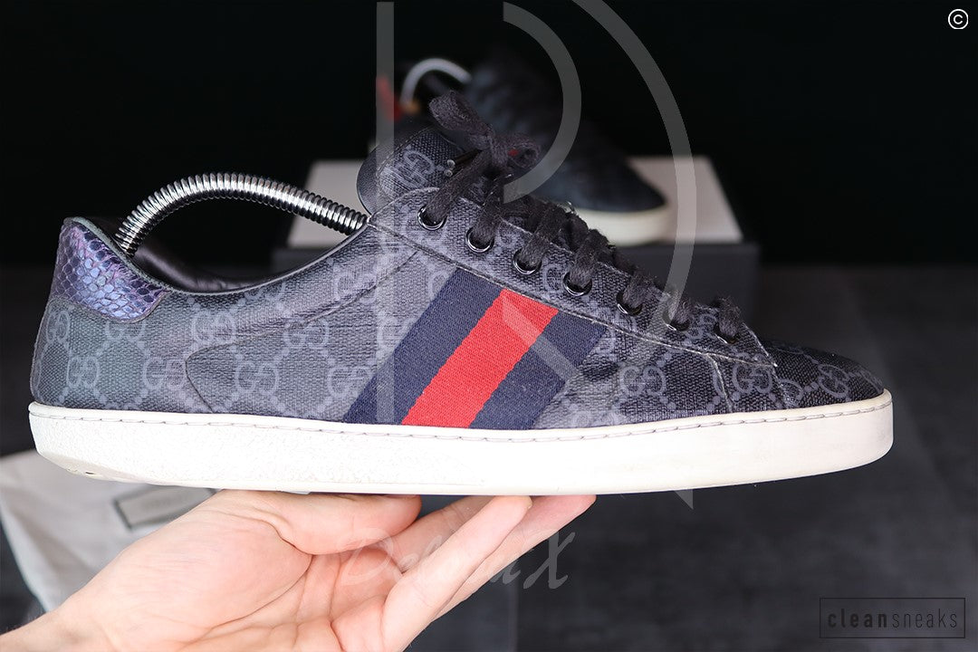 Gucci Ace 'Canvas Supreme' (43.5) 🥳